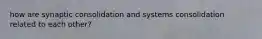 how are synaptic consolidation and systems consolidation related to each other?