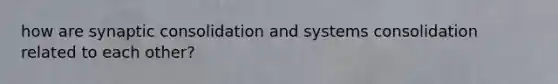 how are synaptic consolidation and systems consolidation related to each other?