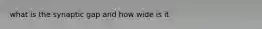 what is the synaptic gap and how wide is it