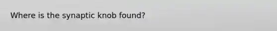 Where is the synaptic knob found?