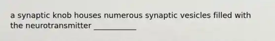 a synaptic knob houses numerous synaptic vesicles filled with the neurotransmitter ___________