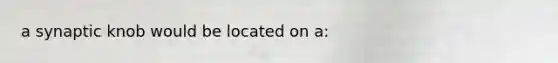 a synaptic knob would be located on a: