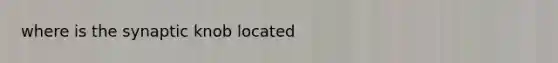 where is the synaptic knob located