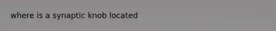 where is a synaptic knob located