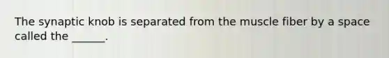 The synaptic knob is separated from the muscle fiber by a space called the ______.