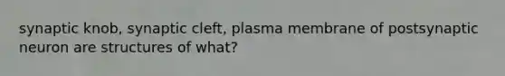 synaptic knob, synaptic cleft, plasma membrane of postsynaptic neuron are structures of what?