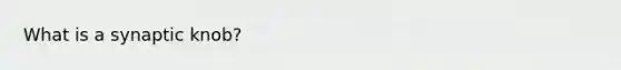 What is a synaptic knob?
