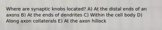 Where are synaptic knobs located? A) At the distal ends of an axons B) At the ends of dendrites C) Within the cell body D) Along axon collaterals E) At the axon hillock