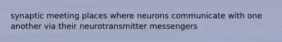 synaptic meeting places where neurons communicate with one another via their neurotransmitter messengers