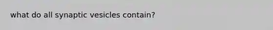 what do all synaptic vesicles contain?