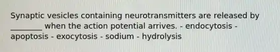 Synaptic vesicles containing neurotransmitters are released by ________ when the action potential arrives. - endocytosis - apoptosis - exocytosis - sodium - hydrolysis