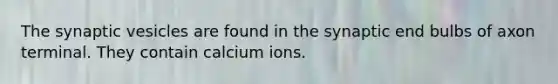 The synaptic vesicles are found in the synaptic end bulbs of axon terminal. They contain calcium ions.