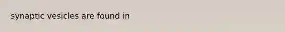 synaptic vesicles are found in