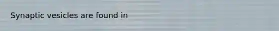 Synaptic vesicles are found in