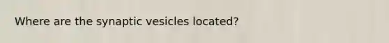 Where are the synaptic vesicles located?