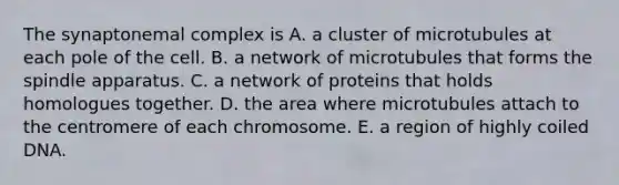 The synaptonemal complex is A. a cluster of microtubules at each pole of the cell. B. a network of microtubules that forms the spindle apparatus. C. a network of proteins that holds homologues together. D. the area where microtubules attach to the centromere of each chromosome. E. a region of highly coiled DNA.