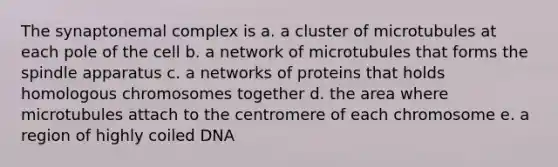 The synaptonemal complex is a. a cluster of microtubules at each pole of the cell b. a network of microtubules that forms the spindle apparatus c. a networks of proteins that holds homologous chromosomes together d. the area where microtubules attach to the centromere of each chromosome e. a region of highly coiled DNA