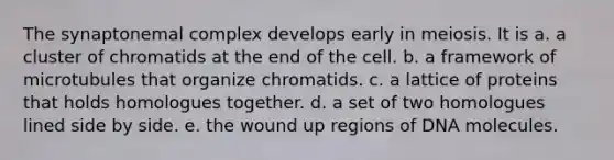 The synaptonemal complex develops early in meiosis. It is a. a cluster of chromatids at the end of the cell. b. a framework of microtubules that organize chromatids. c. a lattice of proteins that holds homologues together. d. a set of two homologues lined side by side. e. the wound up regions of DNA molecules.