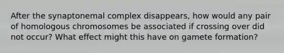 After the synaptonemal complex disappears, how would any pair of homologous chromosomes be associated if crossing over did not occur? What effect might this have on gamete formation?