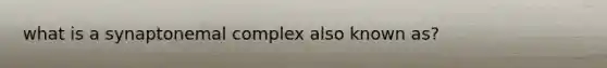 what is a synaptonemal complex also known as?