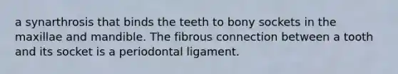 a synarthrosis that binds the teeth to bony sockets in the maxillae and mandible. The fibrous connection between a tooth and its socket is a periodontal ligament.