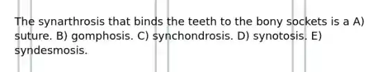 The synarthrosis that binds the teeth to the bony sockets is a A) suture. B) gomphosis. C) synchondrosis. D) synotosis. E) syndesmosis.