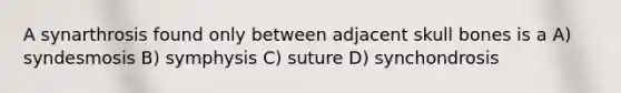 A synarthrosis found only between adjacent skull bones is a A) syndesmosis B) symphysis C) suture D) synchondrosis