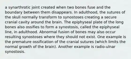 a synarthrotic joint created when two bones fuse and the boundary between them disappears. In adulthood, the sutures of the skull normally transform to synostoses creating a secure cranial cavity around the brain. The epiphyseal plate of the long bones also ossifies to form a synostosis, called the epiphyseal line, in adulthood. Abnormal fusion of bones may also occur resulting synostoses where they should not exist. One example is the premature ossification of the cranial sutures (which limits the normal growth of the brain). Another example is radio-ulnar synostosis.