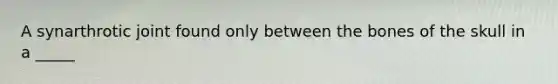 A synarthrotic joint found only between the bones of the skull in a _____