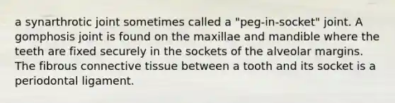 a synarthrotic joint sometimes called a "peg-in-socket" joint. A gomphosis joint is found on the maxillae and mandible where the teeth are fixed securely in the sockets of the alveolar margins. The fibrous connective tissue between a tooth and its socket is a periodontal ligament.