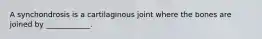 A synchondrosis is a cartilaginous joint where the bones are joined by ____________.