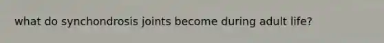 what do synchondrosis joints become during adult life?