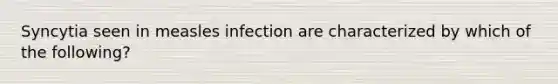 Syncytia seen in measles infection are characterized by which of the following?