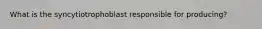 What is the syncytiotrophoblast responsible for producing?