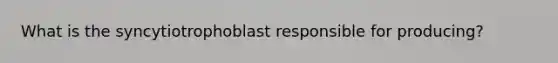What is the syncytiotrophoblast responsible for producing?