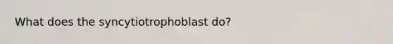 What does the syncytiotrophoblast do?