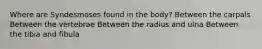 Where are Syndesmoses found in the body? Between the carpals Between the vertebrae Between the radius and ulna Between the tibia and fibula