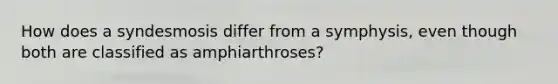 How does a syndesmosis differ from a symphysis, even though both are classified as amphiarthroses?
