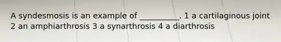 A syndesmosis is an example of __________. 1 a cartilaginous joint 2 an amphiarthrosis 3 a synarthrosis 4 a diarthrosis