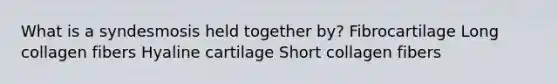What is a syndesmosis held together by? Fibrocartilage Long collagen fibers Hyaline cartilage Short collagen fibers