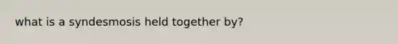 what is a syndesmosis held together by?