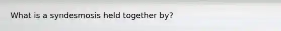 What is a syndesmosis held together by?