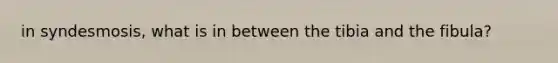 in syndesmosis, what is in between the tibia and the fibula?