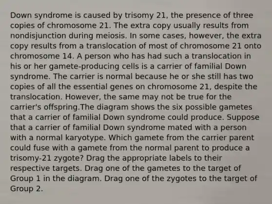 Down syndrome is caused by trisomy 21, the presence of three copies of chromosome 21. The extra copy usually results from nondisjunction during meiosis. In some cases, however, the extra copy results from a translocation of most of chromosome 21 onto chromosome 14. A person who has had such a translocation in his or her gamete-producing cells is a carrier of familial Down syndrome. The carrier is normal because he or she still has two copies of all the essential genes on chromosome 21, despite the translocation. However, the same may not be true for the carrier's offspring.The diagram shows the six possible gametes that a carrier of familial Down syndrome could produce. Suppose that a carrier of familial Down syndrome mated with a person with a normal karyotype. Which gamete from the carrier parent could fuse with a gamete from the normal parent to produce a trisomy-21 zygote? Drag the appropriate labels to their respective targets. Drag one of the gametes to the target of Group 1 in the diagram. Drag one of the zygotes to the target of Group 2.