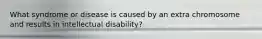 What syndrome or disease is caused by an extra chromosome and results in intellectual disability?