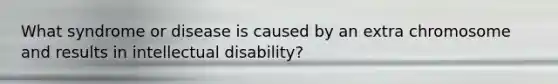 What syndrome or disease is caused by an extra chromosome and results in intellectual disability?