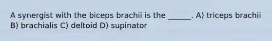 A synergist with the biceps brachii is the ______. A) triceps brachii B) brachialis C) deltoid D) supinator