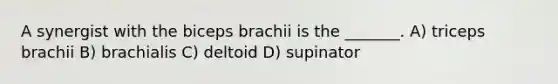 A synergist with the biceps brachii is the _______. A) triceps brachii B) brachialis C) deltoid D) supinator