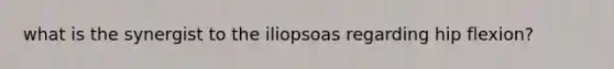 what is the synergist to the iliopsoas regarding hip flexion?