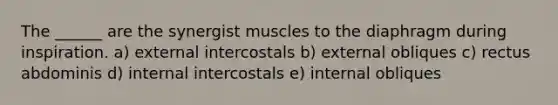 The ______ are the synergist muscles to the diaphragm during inspiration. a) external intercostals b) external obliques c) rectus abdominis d) internal intercostals e) internal obliques